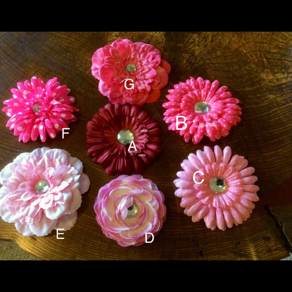 Hair Clips